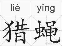 猎蝇的拼音