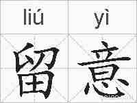 留意的拼音