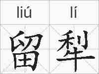 留犁的拼音