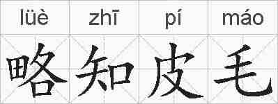 略知皮毛的拼音