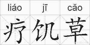 疗饥草的拼音