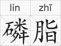 磷脂的拼音