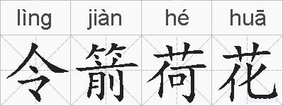 令箭荷花的拼音