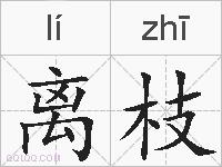 离枝的拼音