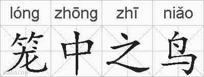 笼中之鸟的拼音