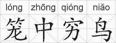 笼中穷鸟的拼音