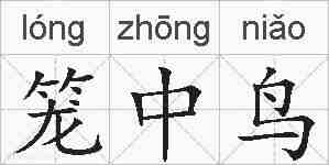 笼中鸟的拼音