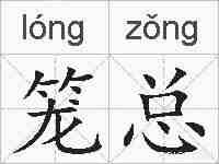笼总的拼音