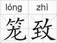 笼致的拼音