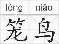 笼鸟的拼音