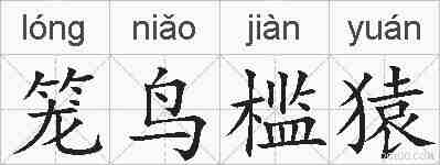 笼鸟槛猿的拼音