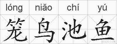 笼鸟池鱼的拼音