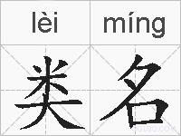 类名的拼音