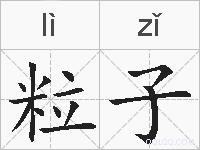 粒子的拼音
