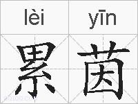 累茵的拼音