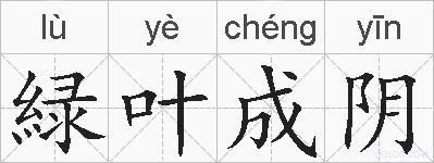 緑叶成阴的拼音