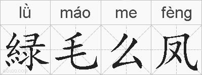 緑毛么凤的拼音