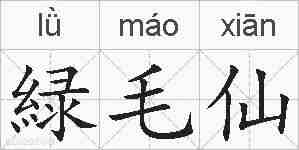 緑毛仙的拼音