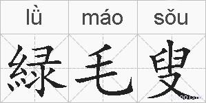 緑毛叟的拼音