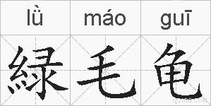 緑毛龟的拼音