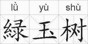 緑玉树的拼音