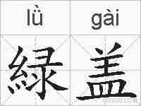 緑盖的拼音