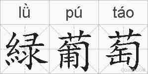 緑葡萄的拼音