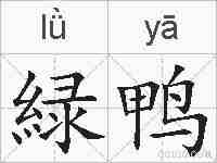 緑鸭的拼音