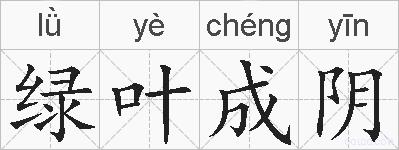 绿叶成阴的拼音