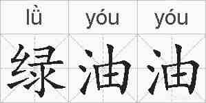 绿油油的拼音