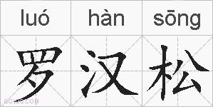 罗汉松的拼音
