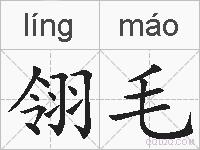 翎毛的拼音