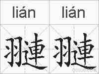 翴翴的拼音
