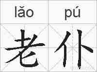 老仆的拼音