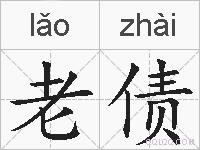 老债的拼音