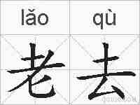 老去的拼音