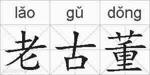 老古董的拼音