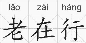 老在行的拼音