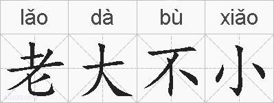 老大不小的拼音
