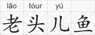 老头儿鱼的拼音