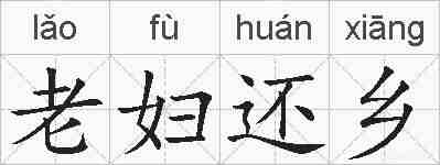 老妇还乡的拼音