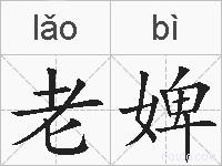 老婢的拼音