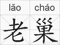 老巢的拼音