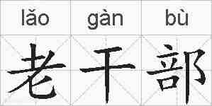 老干部的拼音