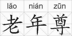 老年尊的拼音