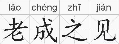 老成之见的拼音