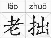 老拙的拼音