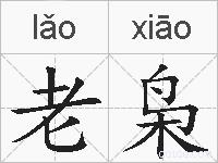 老枭的拼音