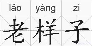 老样子的拼音