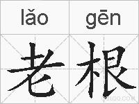 老根的拼音